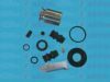 AUTOFREN SEINSA D41168C Repair Kit, brake caliper